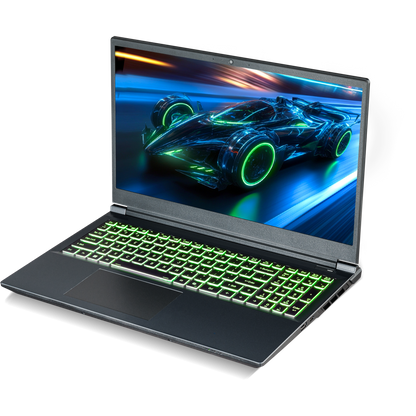 SAGER NP7551N (Clevo V350WNNQ) Gaming Laptop