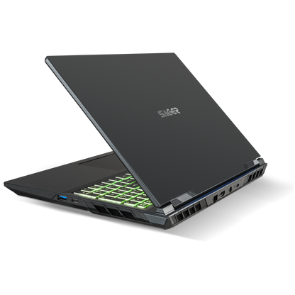 SAGER NP7551N (Clevo V350WNNQ) Gaming Laptop