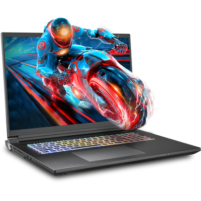 SAGER NP9581S (Clevo X580WNS-G) Gaming Laptop