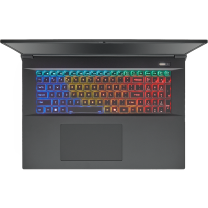 SAGER NP9581S (Clevo X580WNS-G) Gaming Laptop