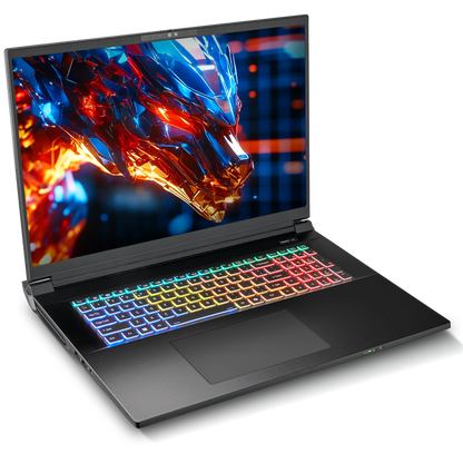 SAGER NP9581S (Clevo X580WNS-G) Gaming Laptop
