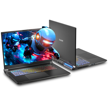 SAGER NP9581S (Clevo X580WNS-G) Gaming Laptop