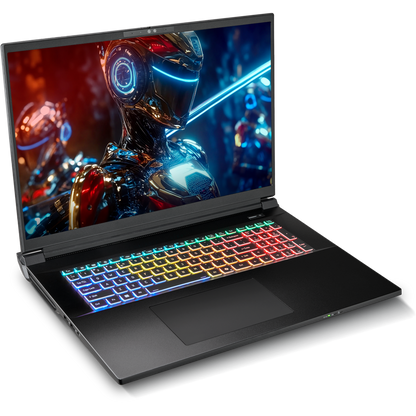 SAGER NP9581T (Clevo X580WNT-G) Gaming Laptop