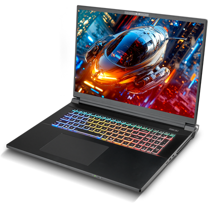 SAGER NP9581T (Clevo X580WNT-G) Gaming Laptop
