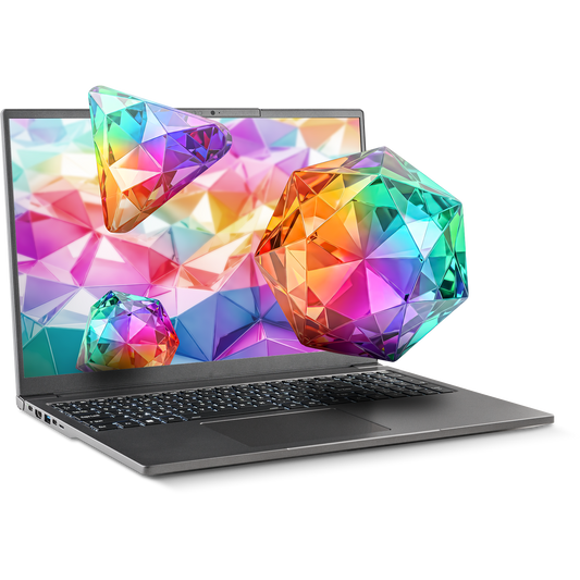 SAGER NP3262U (Clevo L260JUX) Laptop