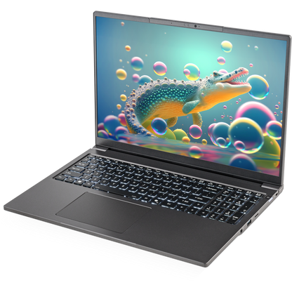 SAGER NP3262U (Clevo L260JUX) Laptop