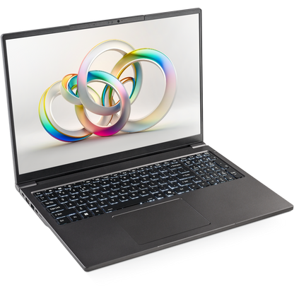 SAGER NP3262U (Clevo L260JUX) Laptop