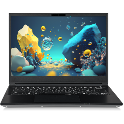 SAGER NP3541U (Clevo V540TU1) Laptop