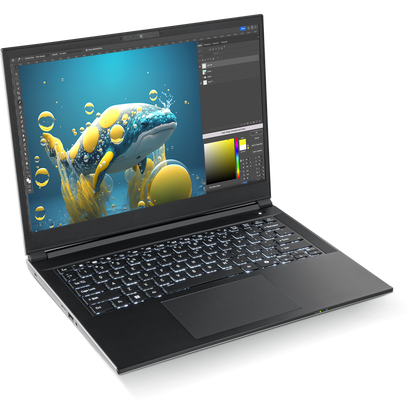 SAGER NP3541U (Clevo V540TU1) Laptop