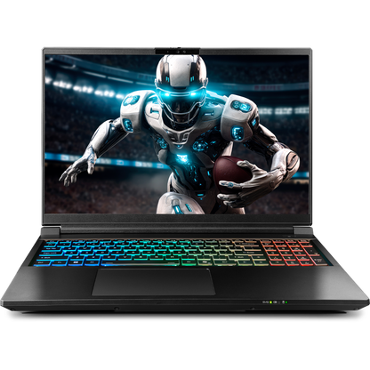SAGER NP9560R (Clevo X560WNR-G) Gaming Laptop