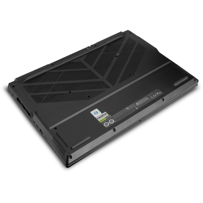 SAGER NP9560R (Clevo X560WNR-G) Gaming Laptop