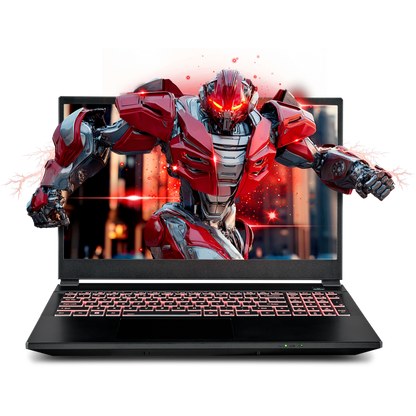SAGER NP5251M (Clevo V255RNM) Gaming Laptop