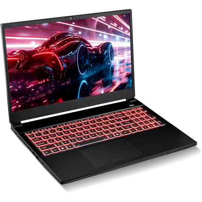 SAGER NP5251M (Clevo V255RNM) Gaming Laptop
