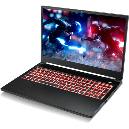 SAGER NP5251M (Clevo V255RNM) Gaming Laptop