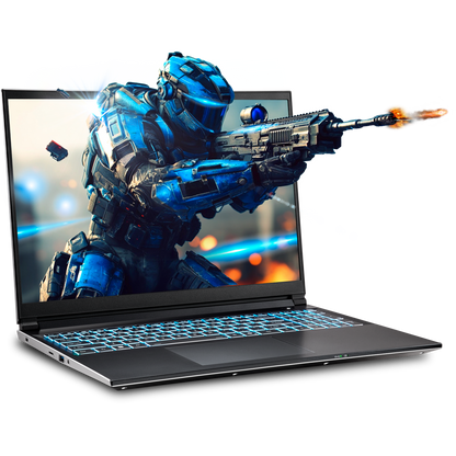 SAGER NP6560P (Clevo V560KNP) Gaming Laptop