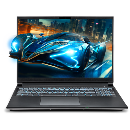 SAGER NP6560P (Clevo V560KNP) Gaming Laptop