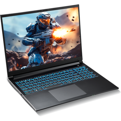 SAGER NP6560P (Clevo V560KNP) Gaming Laptop