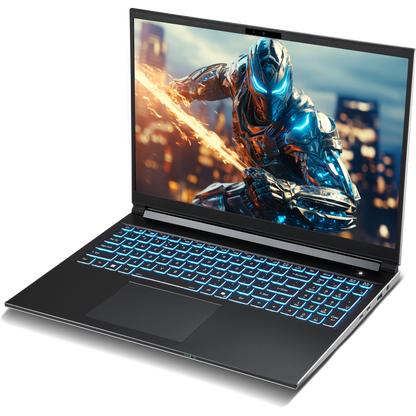 SAGER NP6560P (Clevo V560KNP) Gaming Laptop