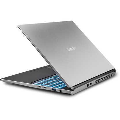 SAGER NP6560P (Clevo V560KNP) Gaming Laptop