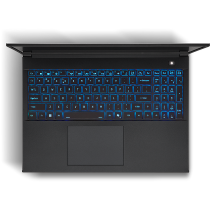 SAGER NP6560P (Clevo V560KNP) Gaming Laptop