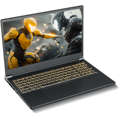 SAGER NP7551M (Clevo V350WNMQ) Gaming Laptop