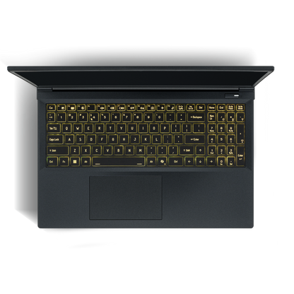 SAGER NP7551M (Clevo V350WNMQ) Gaming Laptop