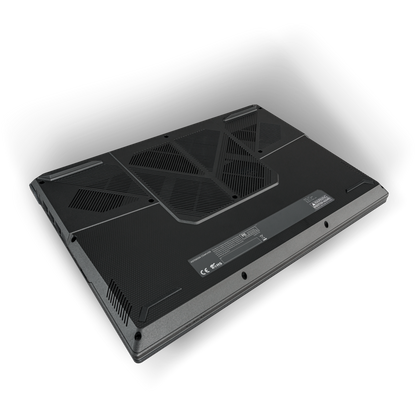 SAGER NP7551M (Clevo V350WNMQ) Gaming Laptop