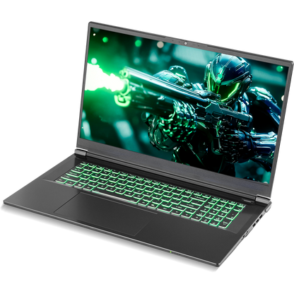 SAGER NP7571N (Clevo V370WNNQ) Gaming Laptop